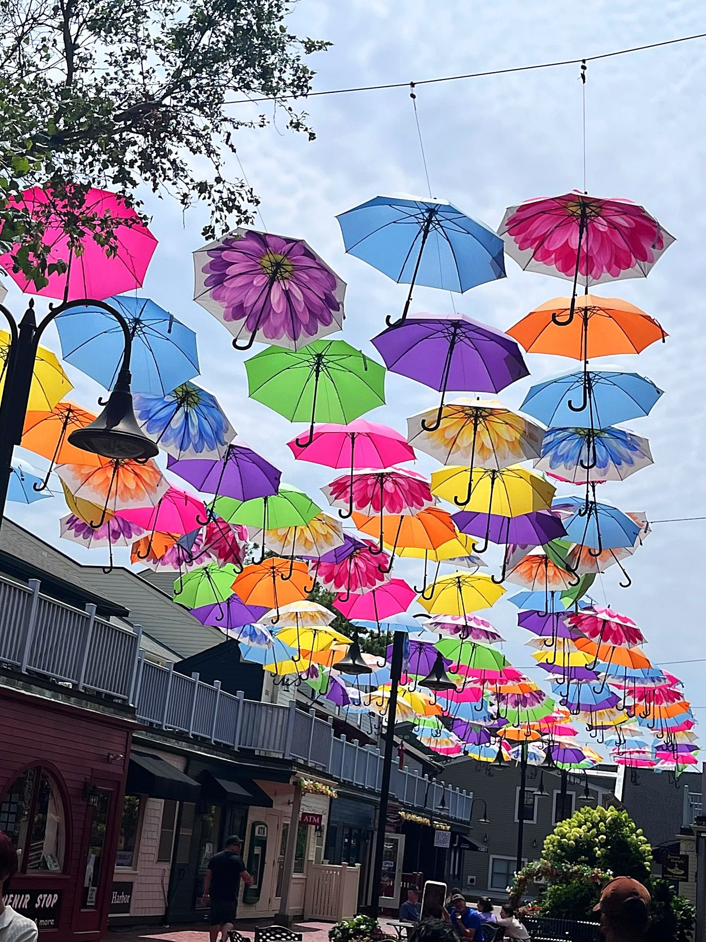 ☂️😍☂️ 
Hanging out in Newport, Rhode Island today and came across this UMBRELLA SKY…so cool. Got a great video of all the umbrellas swaying in the wind. Check my stories to see it.😜
#newportri #umbrellasky #newportartist #zacharybloomdesigns #surfite