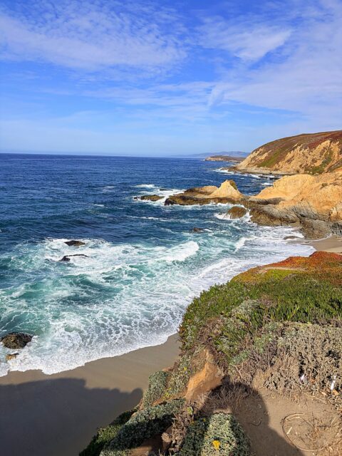 THANK YOU CALIFORNIA🥰
Always good to come back home to where I grew up. Here’s a quick photo dump of all the fun we had hanging with my dad, family, and friends. Headed back to Jersey today and Sunday I’ll be local in Denville exhibiting at the Denville Makers Market which takes place alongside the Denville Farmers Market from 8:30-1pm.🤩
#bodegaca #zacharybloomdesigns #bodegabayca #denvillenj #denvillefarmersmarket